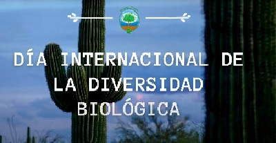 diversidad